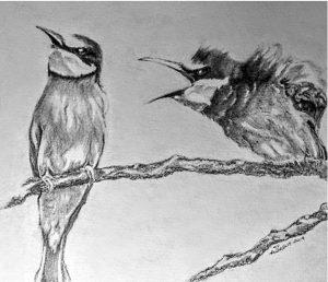 And So Passed the Sixth Day